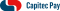 Capitec Pay Logo